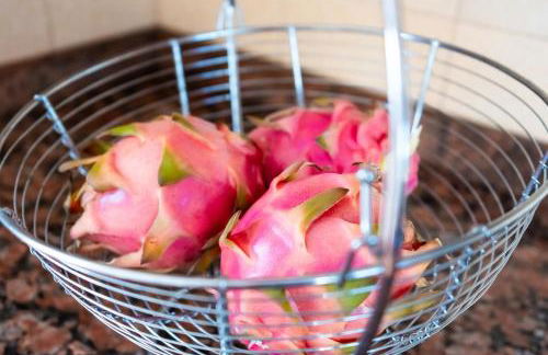 Casita Moscatel - Foto 4