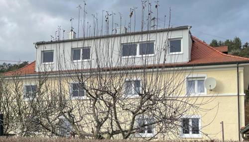 Stadtmitte mit Schlossblick - Foto 5