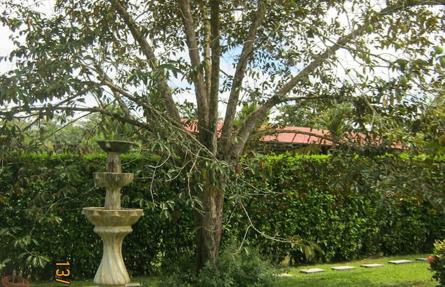 Apartamento Completo a 2 Minutos Ruta 32 - Foto 6