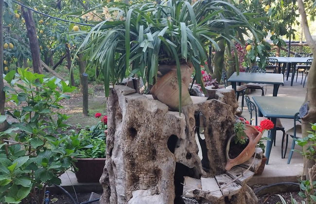 Agriturismo La Lobra - Photo 72