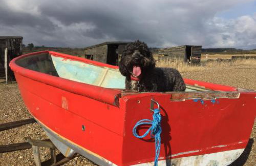 Little Chequers - Foto 27