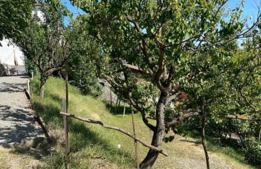 Casa Petra - Casa Tre Stelle - Casa Caneva - Ferien für 6-14 Personen - Foto 9