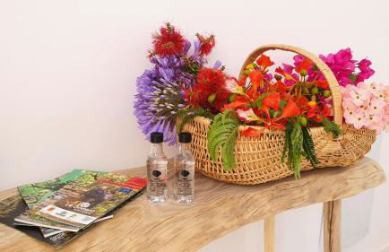 ALAYNA´S HOMES - Foto 42