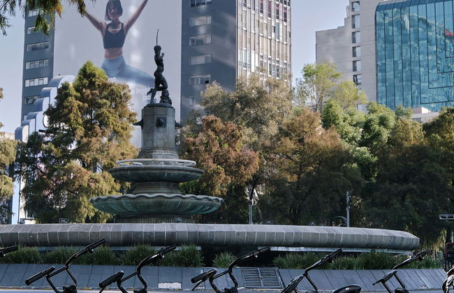 Tour en bicicleta eléctrica por Ciudad de México - Foto 6