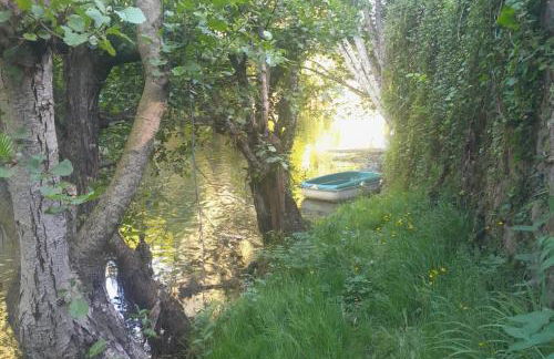 La Madeleine - Foto 14