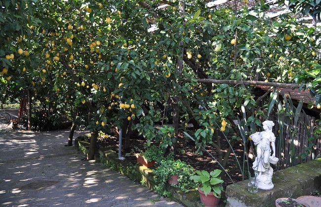 Agriturismo Il Giardino di Vigliano - Foto 46