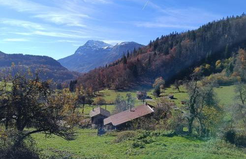 Chalet paisible à 4km de la station des Carroz - Chalet St François de Sales - Foto 26