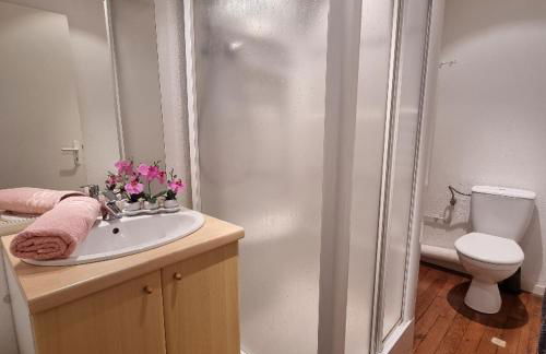 Gite Myrtille 2 à 6 personnes avec SPA et salle de jeux dans la Residence - Foto 13