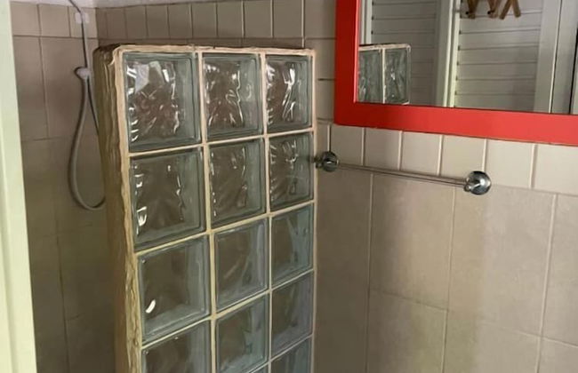 Alemão Cabanas - Foto 15