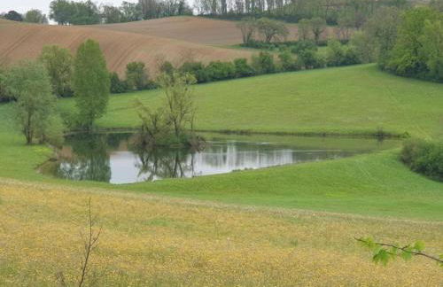 Villa in Bruniquel by Aveyron River - Foto 25