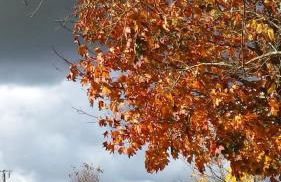 La Chapelle - Private Heated Pool, Village Centre - Foto 35