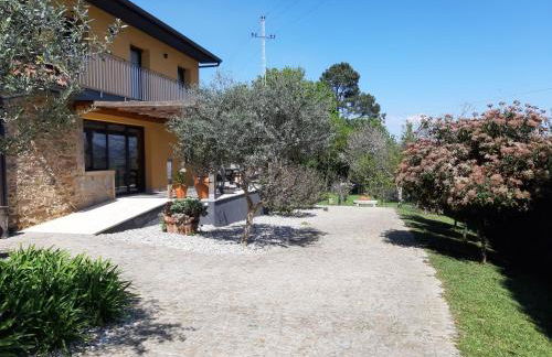 Quinta do Senhor - Foto 1