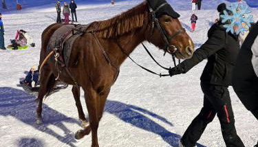 Studio cosy 4 pers, à APOLLO - Pied des pistes - SkiOpied, Casier à skis - Parking Gratuit - Domaine des Sybelles - Foto 2