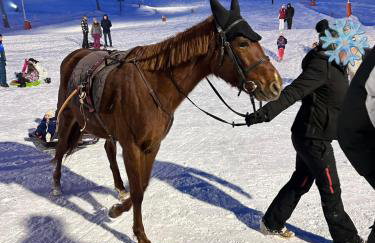 Studio cosy 4 pers, à APOLLO - Pied des pistes - SkiOpied, Casier à skis - Parking Gratuit - Domaine des Sybelles - Foto 6