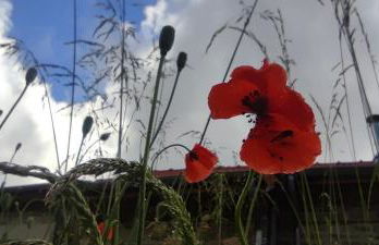 Le Pas du Loup - Photo 23