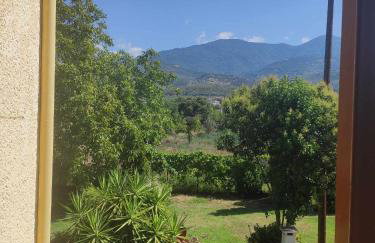 Fotini's Paradise - Foto 23