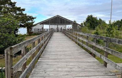 Starlight Serenity - Foto 7