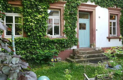 Ludwig im Künstlerhaus - Foto 3