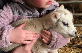 The Haybarn - Foto 54