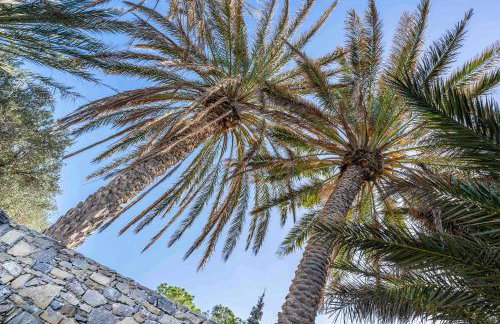 Carissa house in Crete - Foto 31