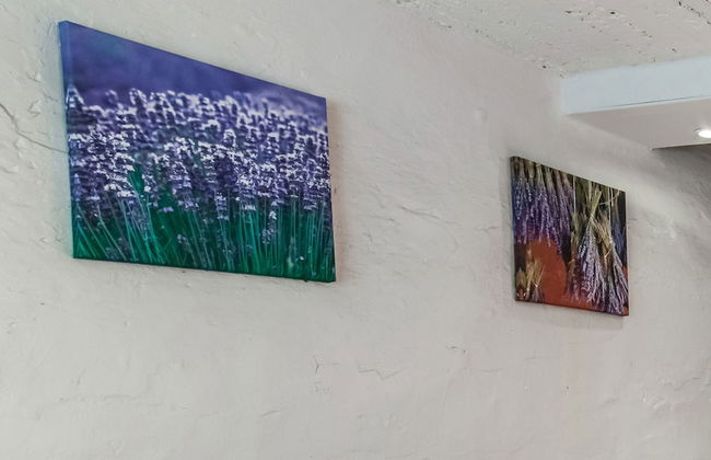 Cosy Holiday Home in Cherain near Forest - Photo 24