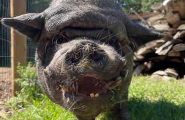 The Guest House at River Haven Sanctuary - Photo 27