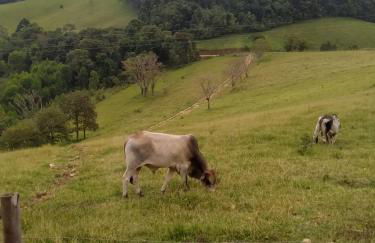 Chalés Conforto Mineiro - Photo 33