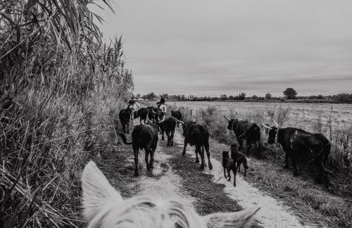 Le Miradou - Foto 12