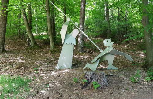 Ferienwohnungen Nibelungenwald - Foto 25