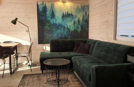 Ekosfera Piława Apartamenty z podgrzewanym basenem - Foto 9