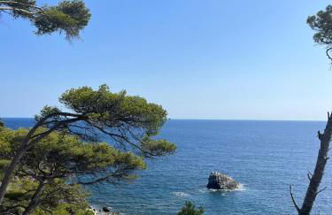 Studio avec rez de jardin - Foto 36