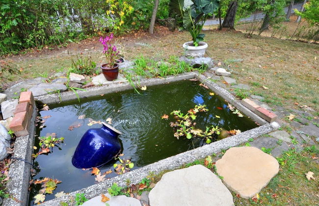 Manor at Berkeley Springs - Foto 1