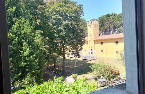 Apartments Lazzarini Battiala - Foto 13