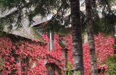 Moulin Grand, entire accommodation, 2br park river - Foto 48