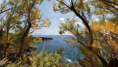 Casas da Pedreira - Photo 3