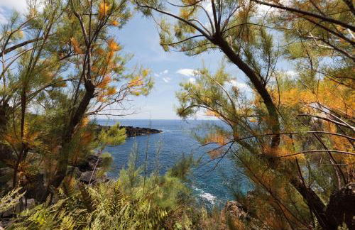 Casas da Pedreira - Photo 3