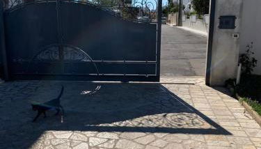 Appartamento nel cuore del Salento - Foto 5