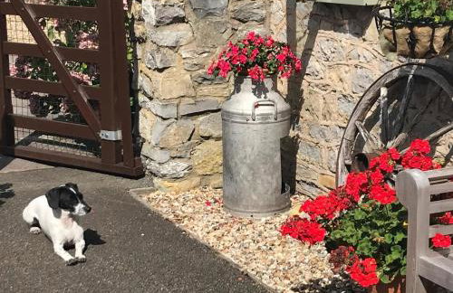 2 Bed in Bridgwater oc-theol - Foto 18