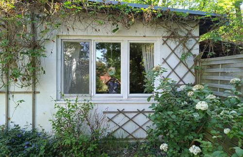 Gartenhaus in Potsdam Wilhelmshorst - Foto 2