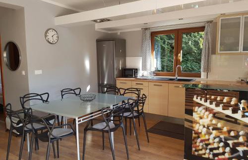 WIGWAM Dom z basenem na Kaszubach - Foto 3