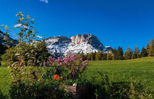 Bauernhof Vorderstiedler - Foto 33
