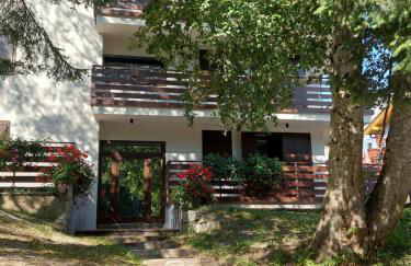 Casa ampia Funghetto sulle piste di Folgarida - Photo 9