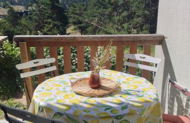 Gréolières les Neiges Studio 4 personnes - Foto 6