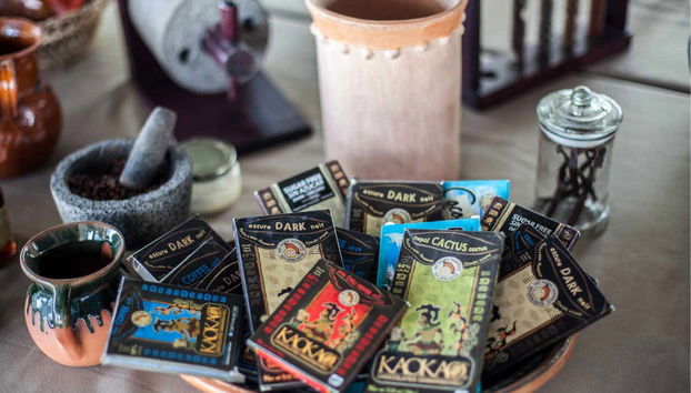 Learning about the different types of cacao