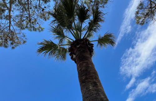 Heaven Sea Home - Foto 21