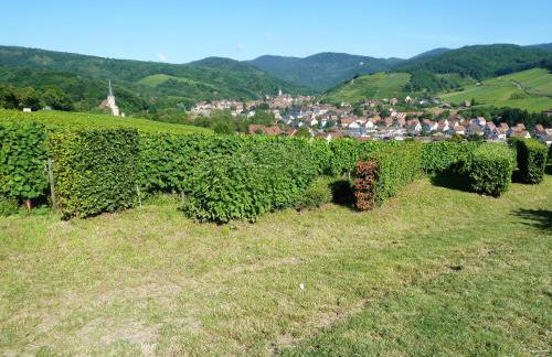 Appartement charmant à Epfig avec vue sur jardin - Foto 20