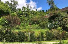 Casa junto ao Parque - Foto 6