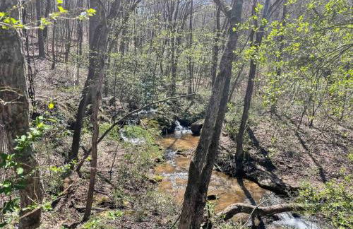 Hilltop Haven w/Creek&Waterfall Dntwn McCaysville - Photo 1