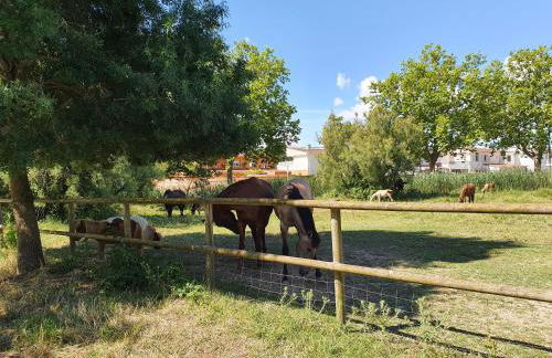 Ampuries Delta Apartment - Foto 53