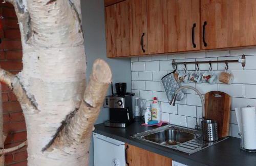 Świerkowy Zakątek u Bacy - Foto 6